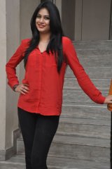 Zara at Bhai Triple Platinum Disc